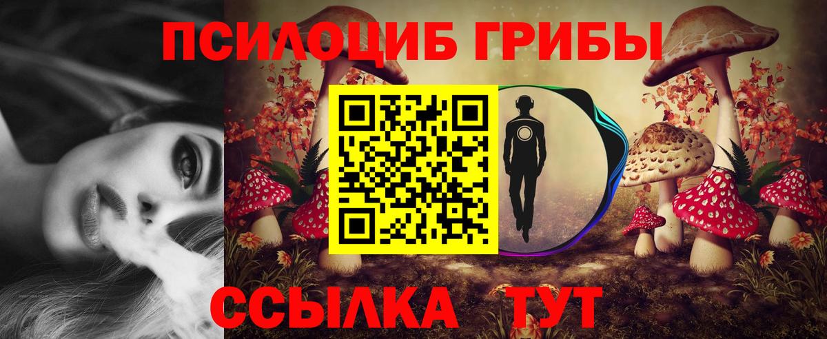 Псилоцибиновые грибы GOLDEN TEACHER Майкоп