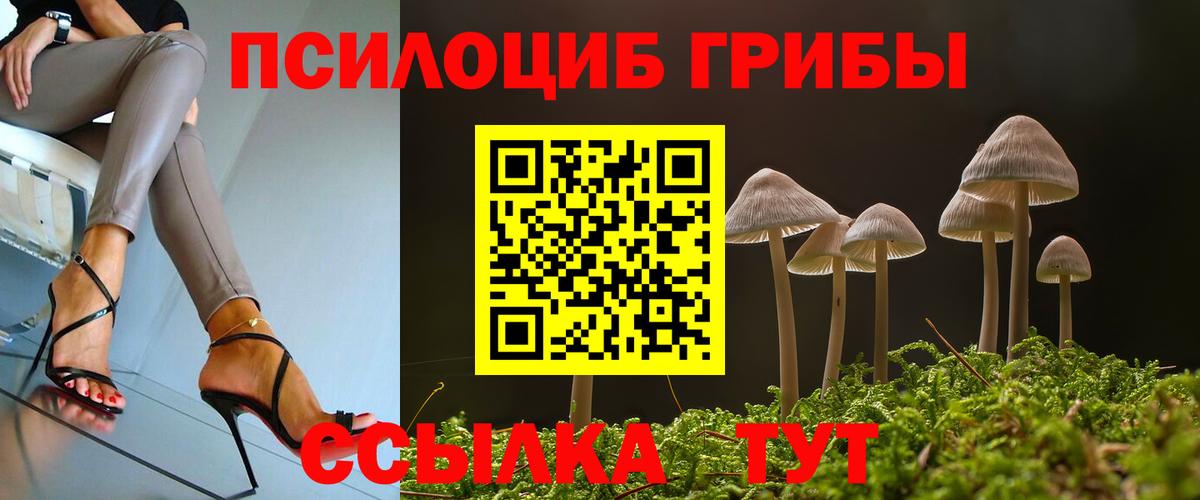 Галлюциногенные грибы MAGIC MUSHROOMS  Вход с VPN  Галлюциногенные грибы Psilocybine cubensis  закладки  Майкоп 